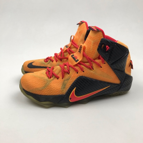 lebron 12 witness